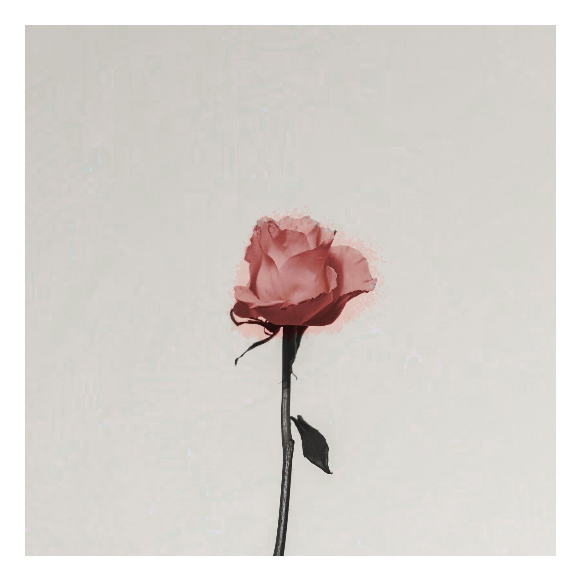 Album cover of Mariage D'amour (Spring Waltz)
