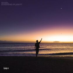 Cover of Evening Flight