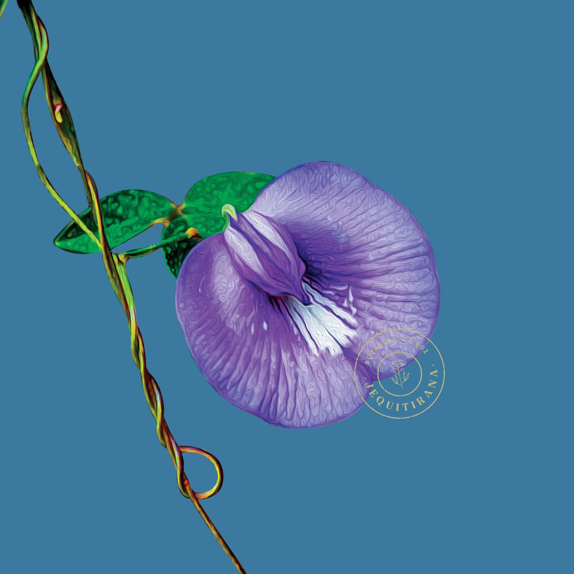 Album cover of Jequitirana