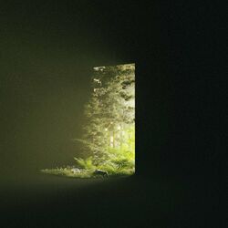 Cover of Come Up Here