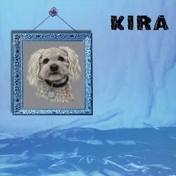 Cover of Kira