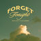 Forget Tonight by Tyler Hubbard album cover