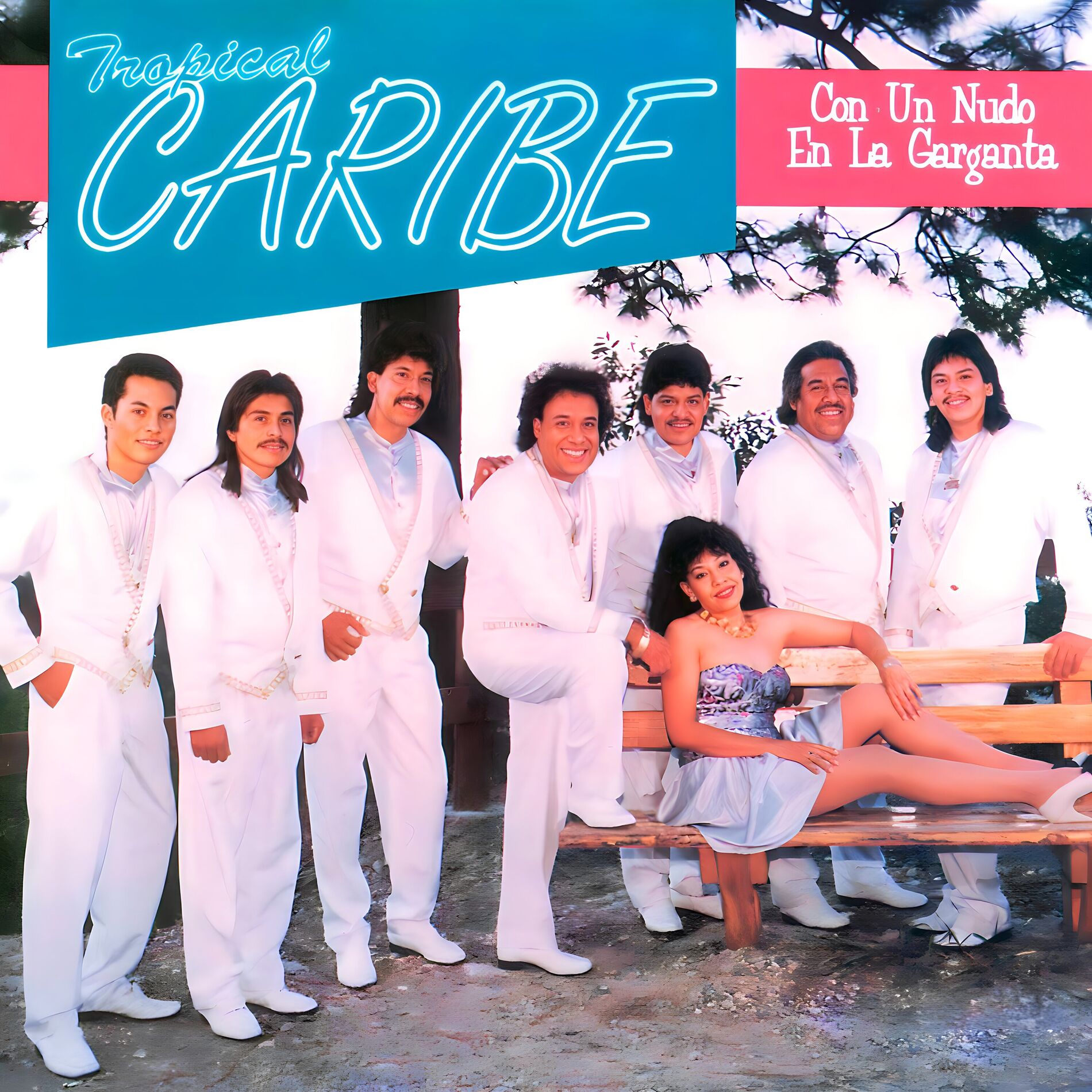 Album cover of Con un Nudo en la Garganta