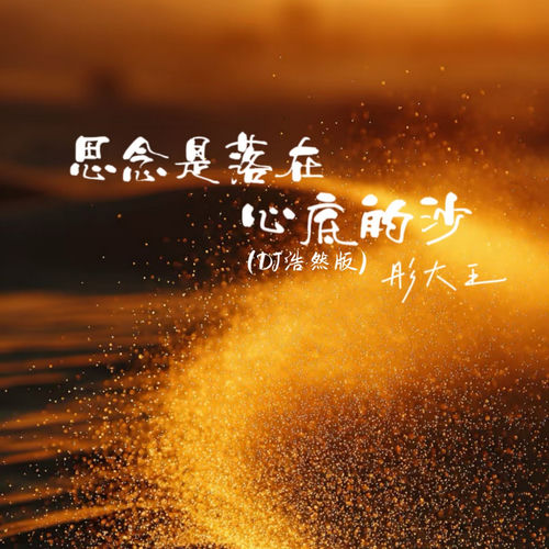 思念是落在心底的沙 (Dj浩然版)