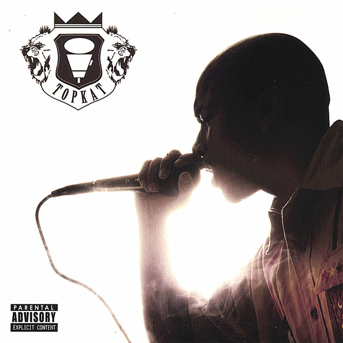 Album cover of Something in the Music