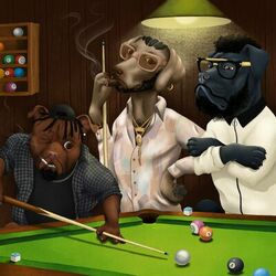 Cover of For My Dawgs