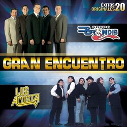 Cover of Gran Encuentro (20 Éxitos Originales)