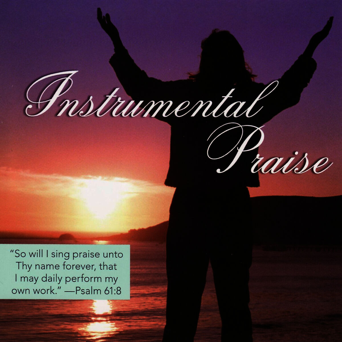 Album cover of Instrumental Praise