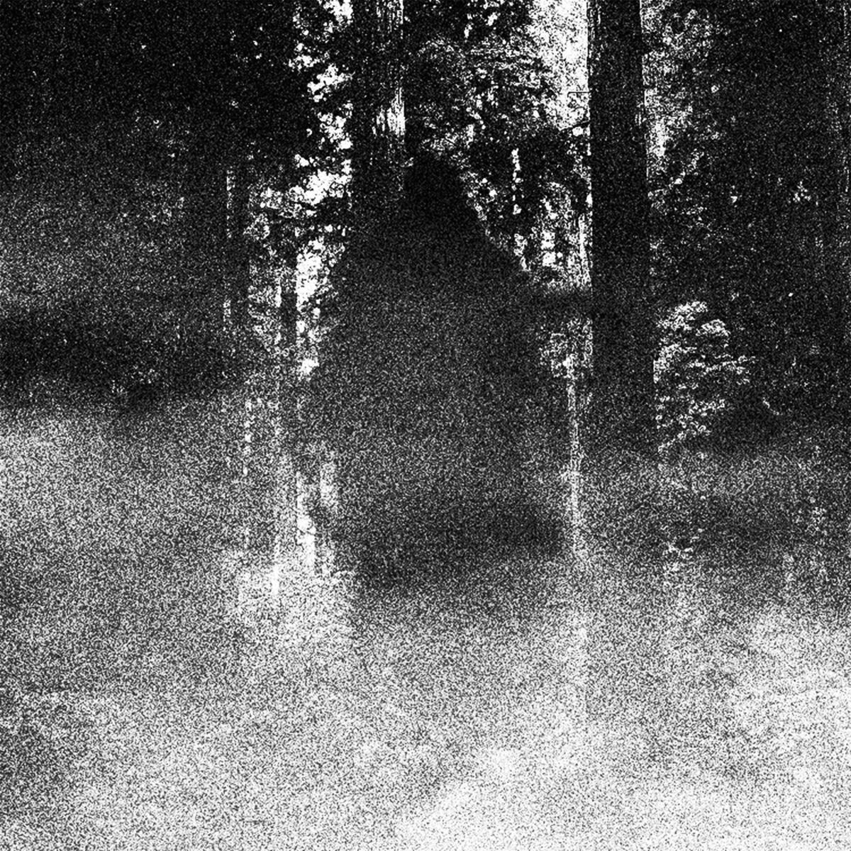 Album cover of HORRORS