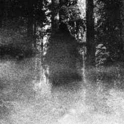 Cover of HORRORS