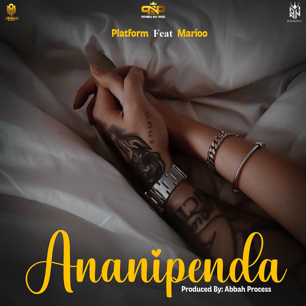 Album cover of Ananipenda