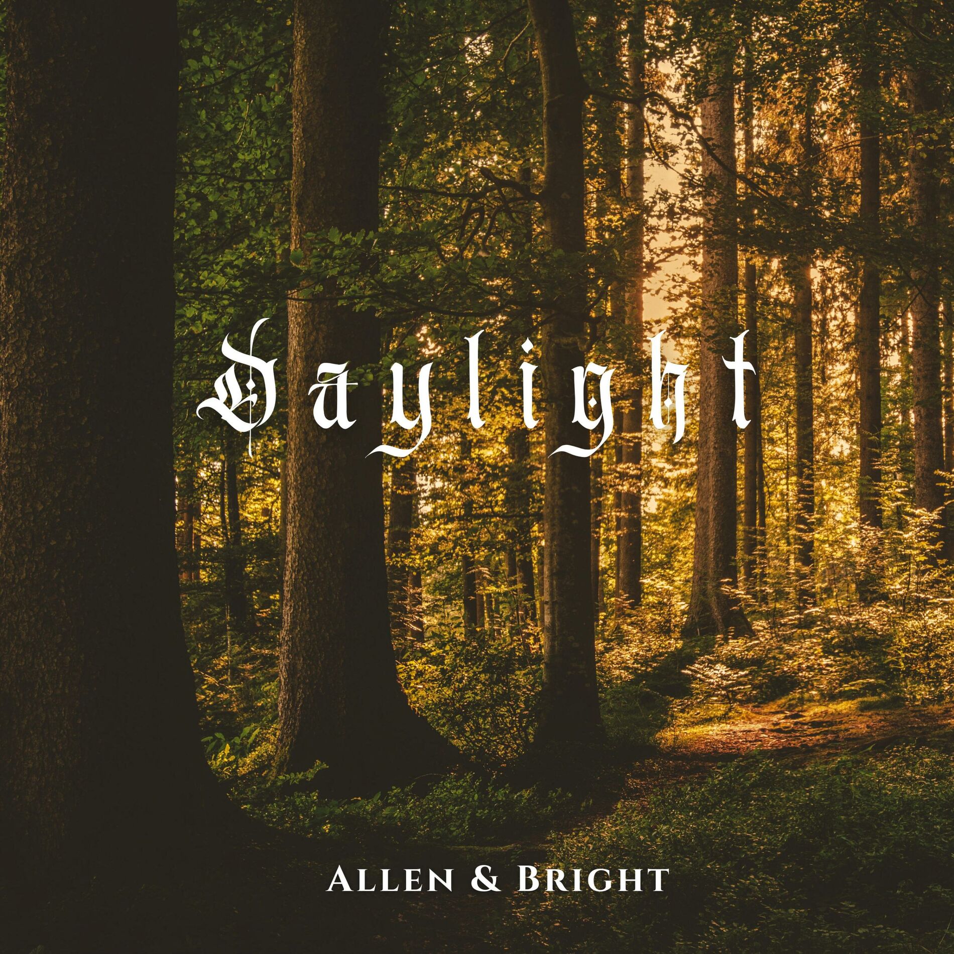 Album cover of Daylight (Instrumental)