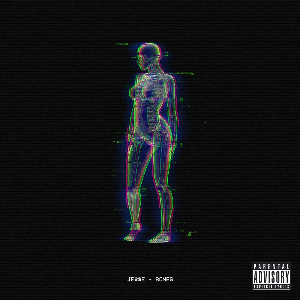 Picture of Bones
