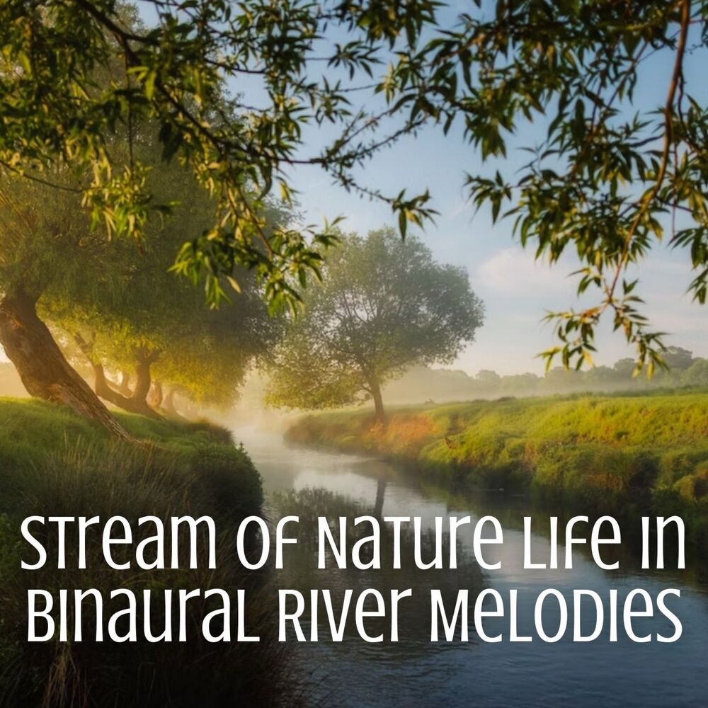 Picture of Stream of Nature Life in Binaural River Melodies