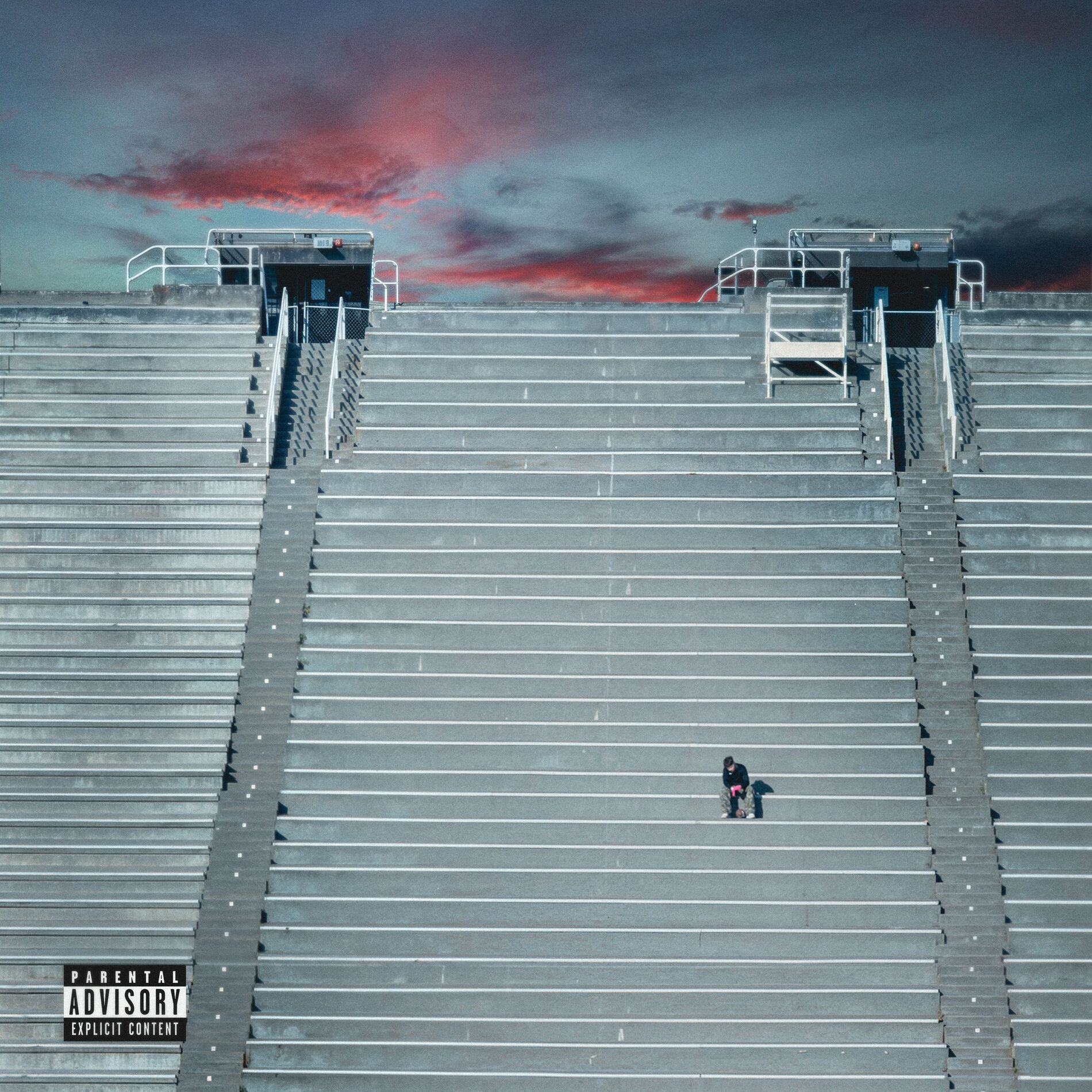Album cover of FLOWERS