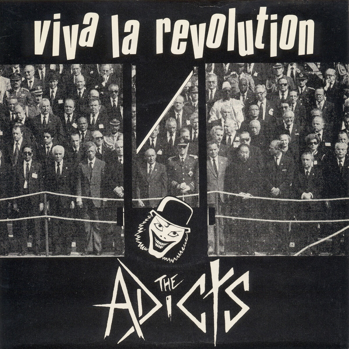 Album cover of Viva La Revolution