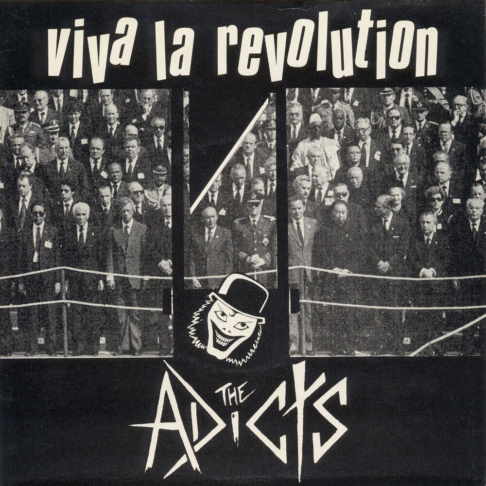 Picture of Viva La Revolution