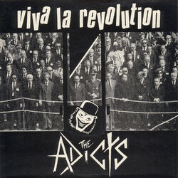 Cover of Viva La Revolution