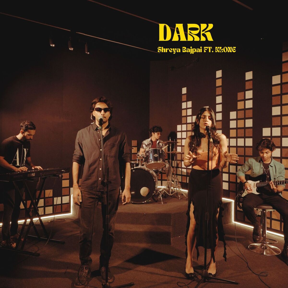 Album cover of Dark