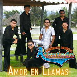 Cover of Amor En Llamas