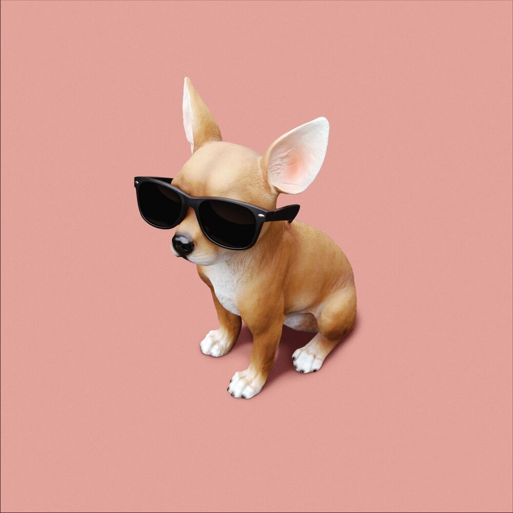 Picture of Lo Tom