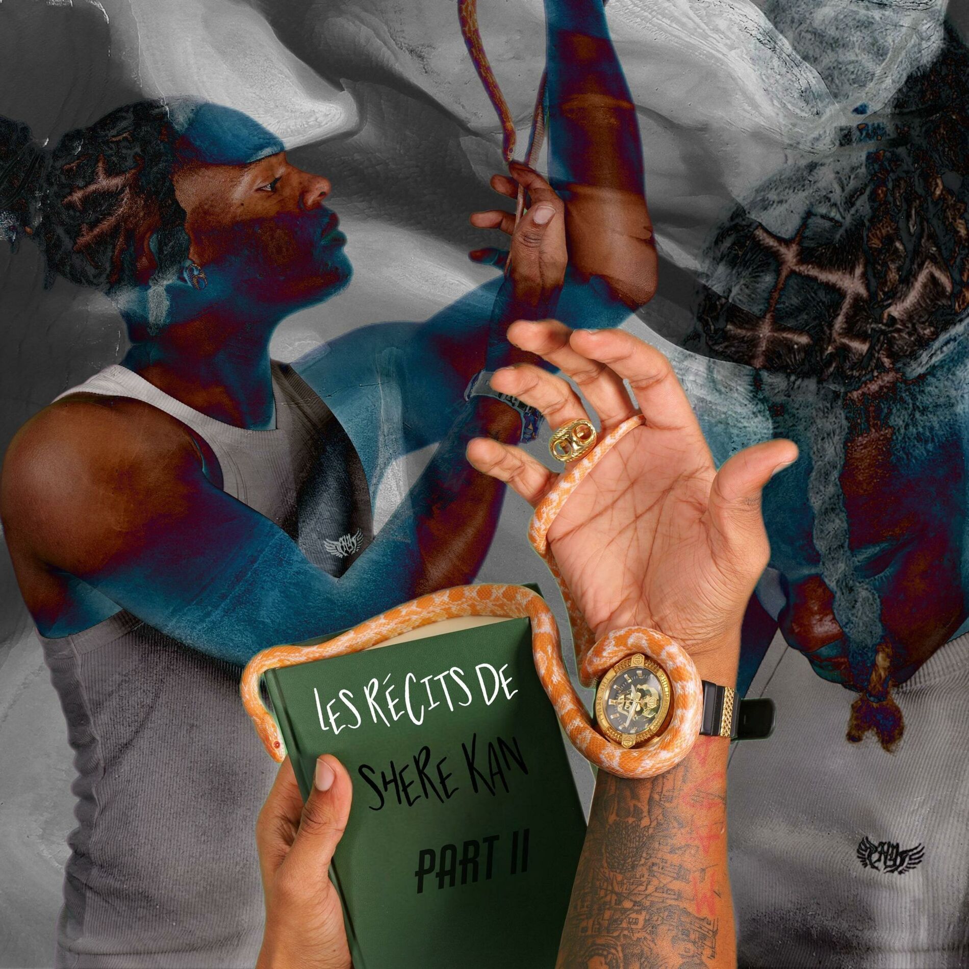 Album cover of Les Récits de Shere Kan PART . 2