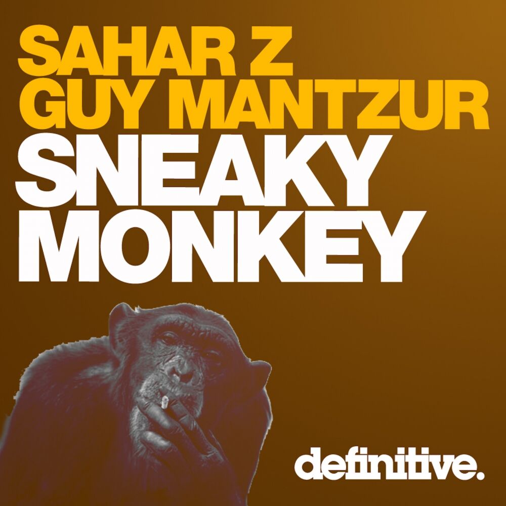 Picture of Sneaky Monkey