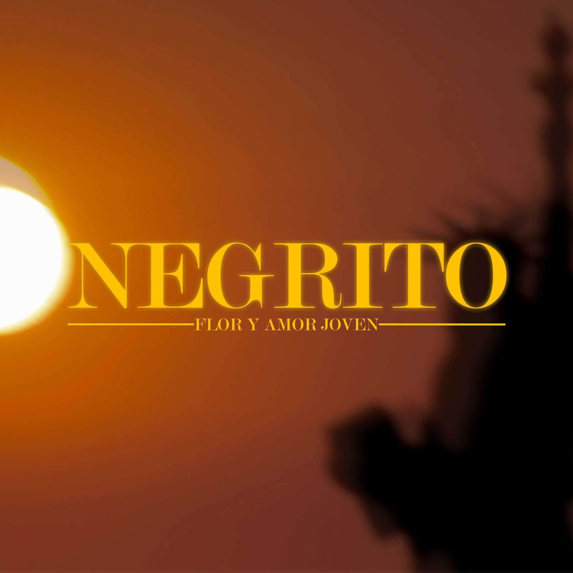 Album cover of Negrito