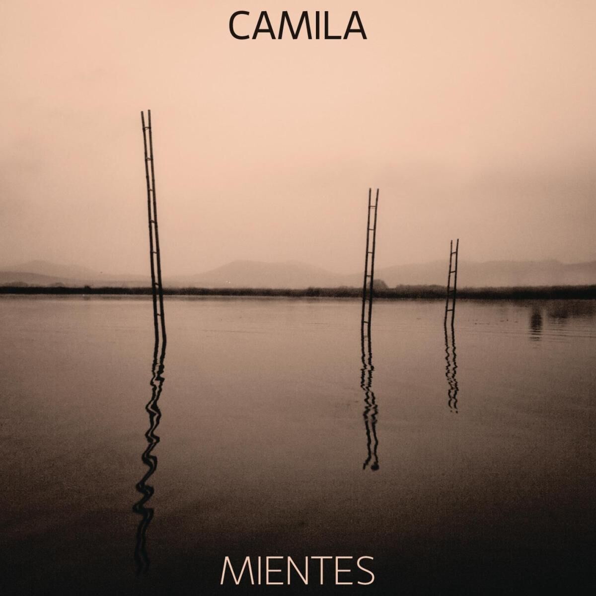 Album cover of Mientes