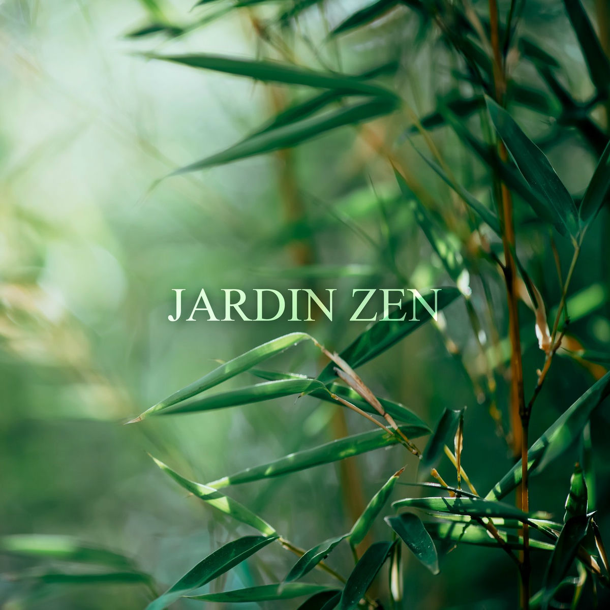 Album cover of Jardin zen: Musique anti-stress