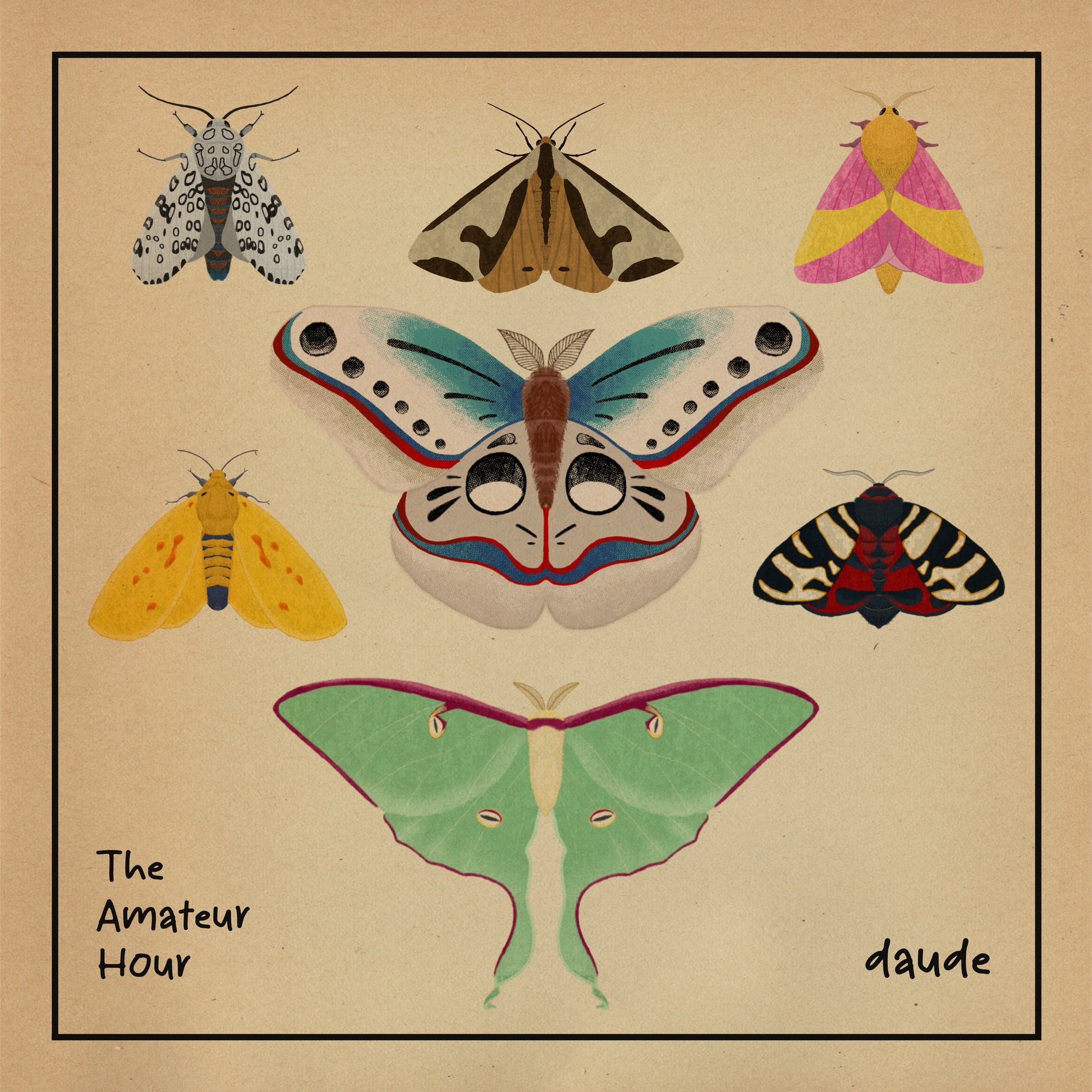 Album cover of The Amateur Hour