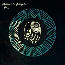 Cover of Shadows & Delights, Vol. 2