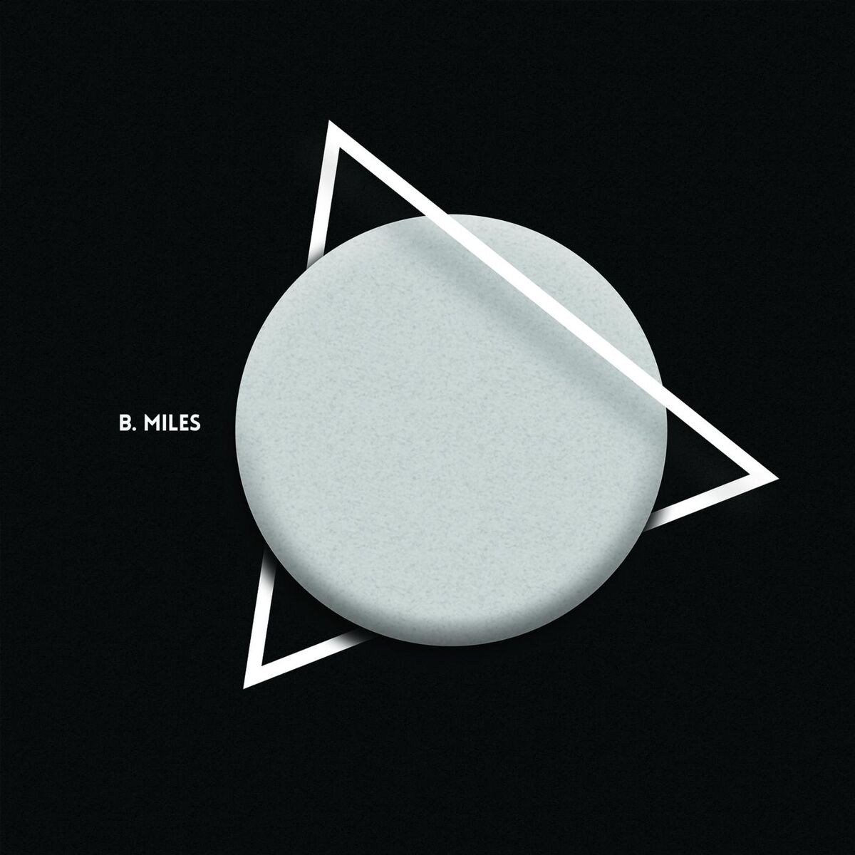 Album cover of Salt