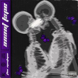 Cover of Anant Tape