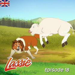 Episode 18: A Rare Sighting