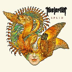 Cover of Splid (Game of Doom Version)