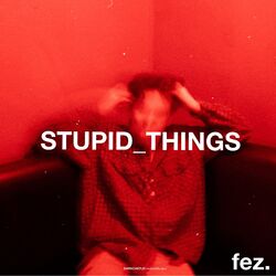 Cover of Stupid Things