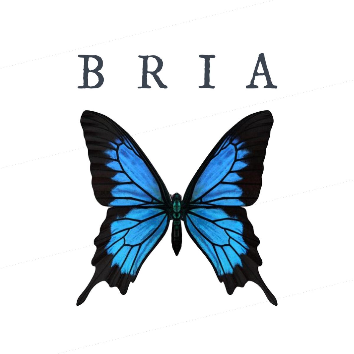 Album cover of Bria