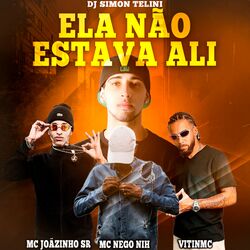 Cover of Ela Não Estava Ali