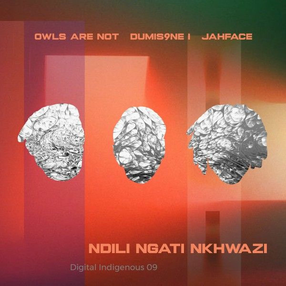 Album cover of Digital Indigenous 09: Ndili Ngati Nkhwazi