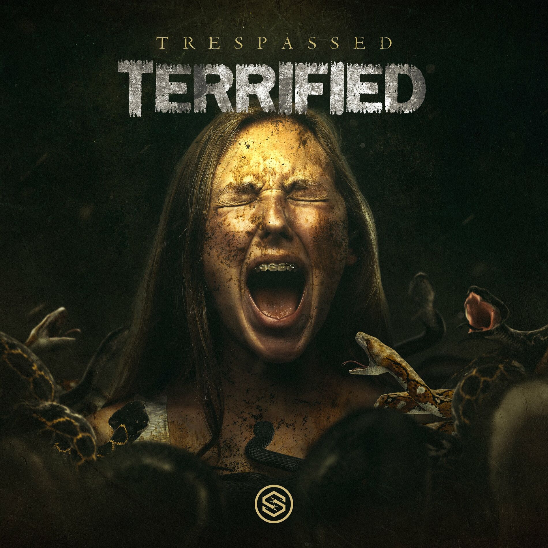 Album cover of Terrified