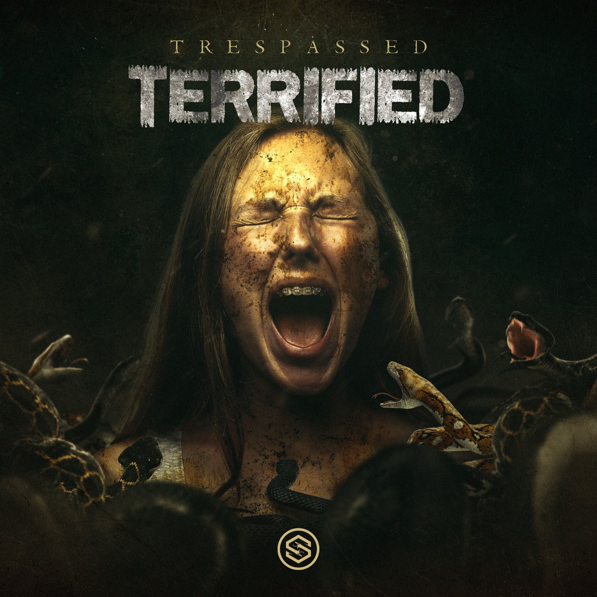 Album cover of Terrified