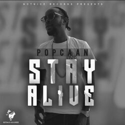 Cover of Stay Alive