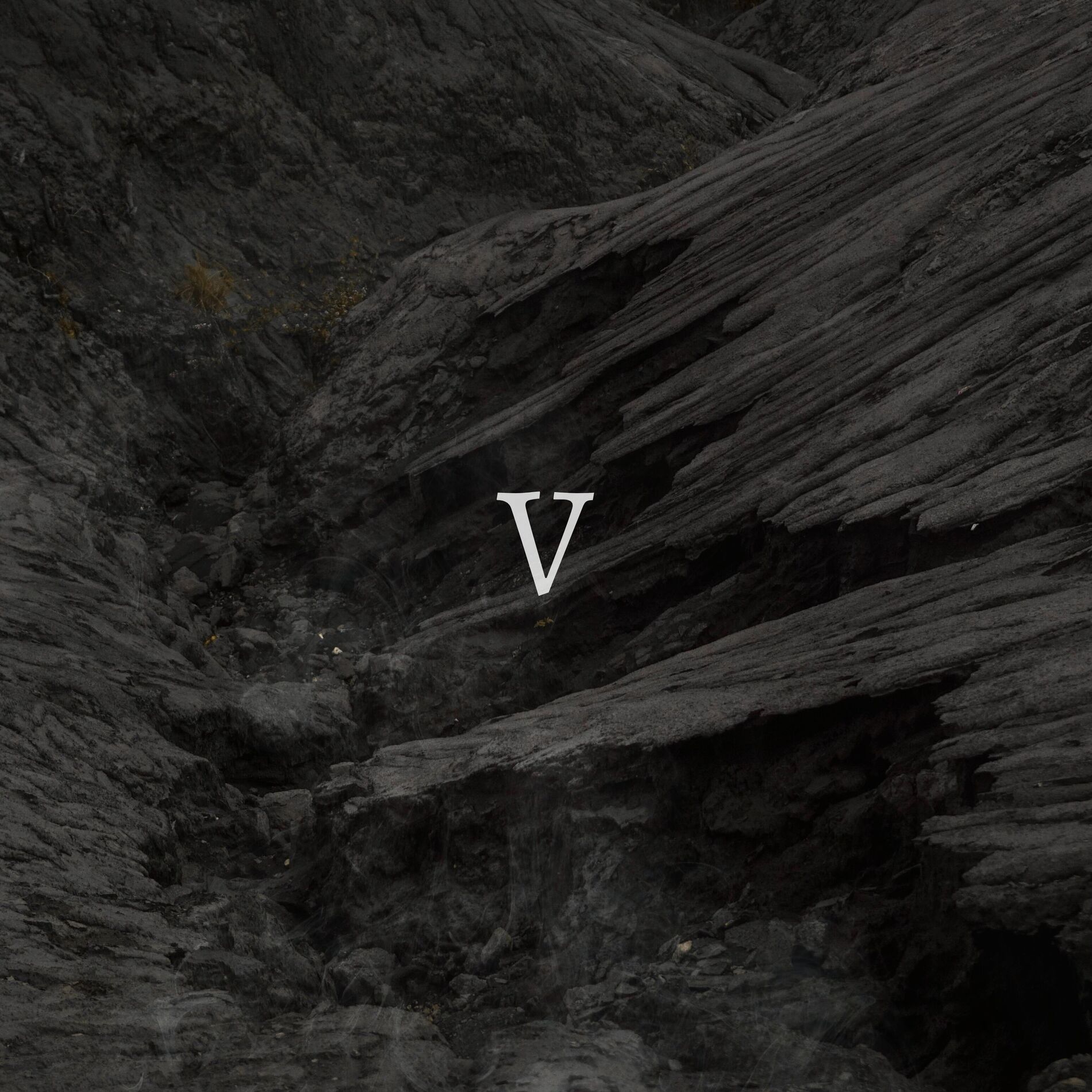 Album cover of V