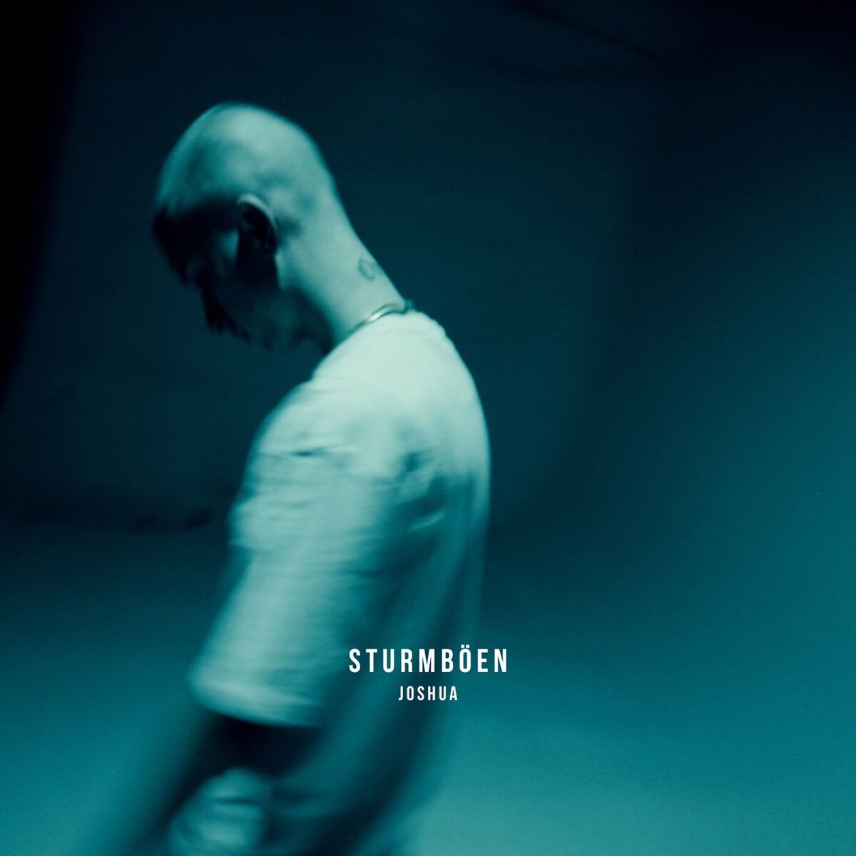 Album cover of Sturmböen
