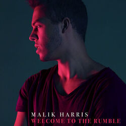 Cover of Welcome to the Rumble