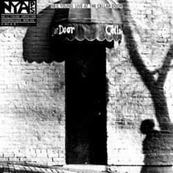 Cover of Live at the Cellar Door