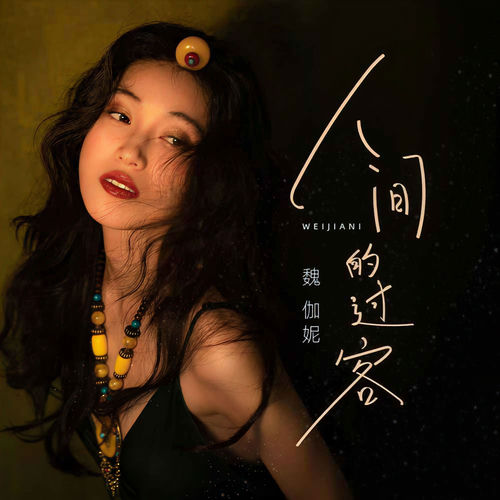 人间的过客
