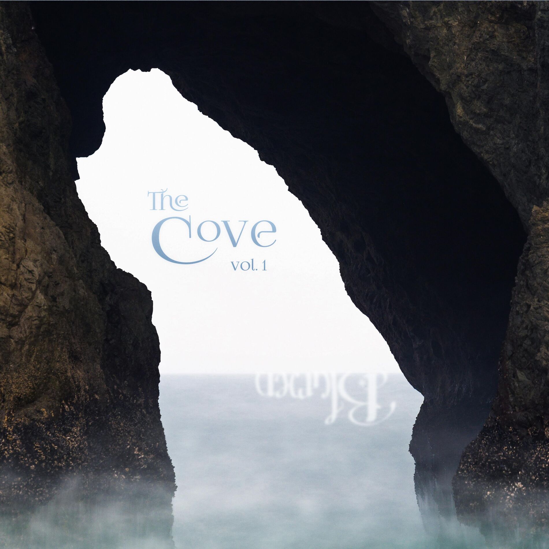 Album cover of The Cove, Vol. 1
