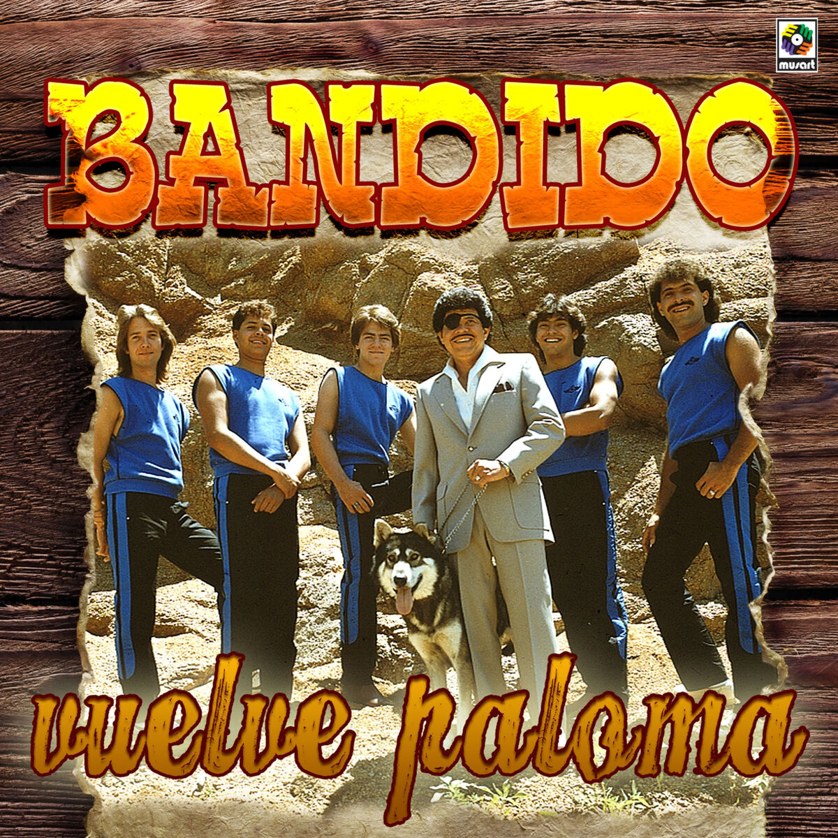 Album cover of Vuelve Paloma